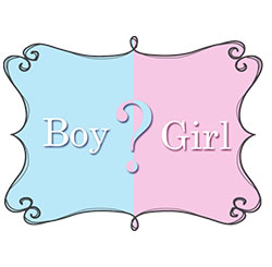 Pink or Blue Baby